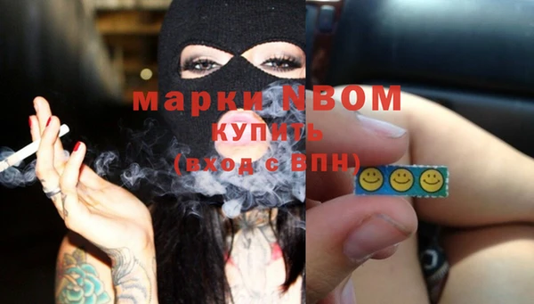 мдпв Осташков