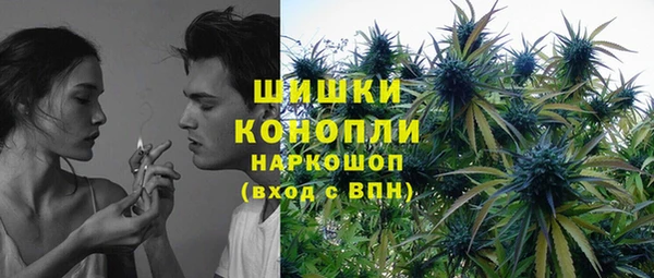 дживик Осинники