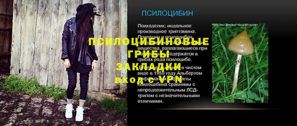 Альфа ПВП Алзамай