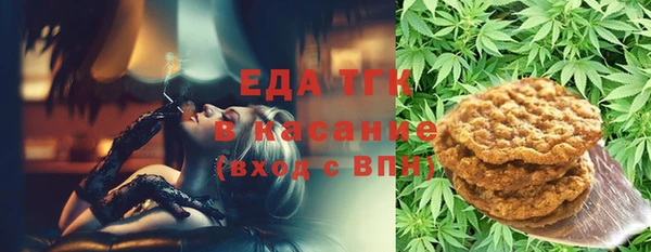 мдпв Осташков